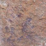 Zimbabwe - Peintures rupestres à Ngomakurira (falaise)