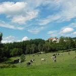 Marche en forêt et ballade \"naturaliste\" au Péchadour près d\'Alleyras