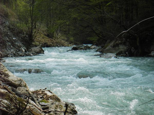 Samedi 29 avril - Partie basse de la Dranse de Morzine