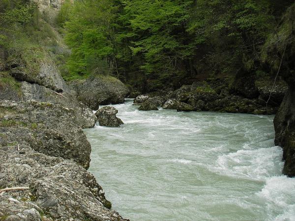 Samedi 29 avril - Partie basse de la Dranse de Morzine