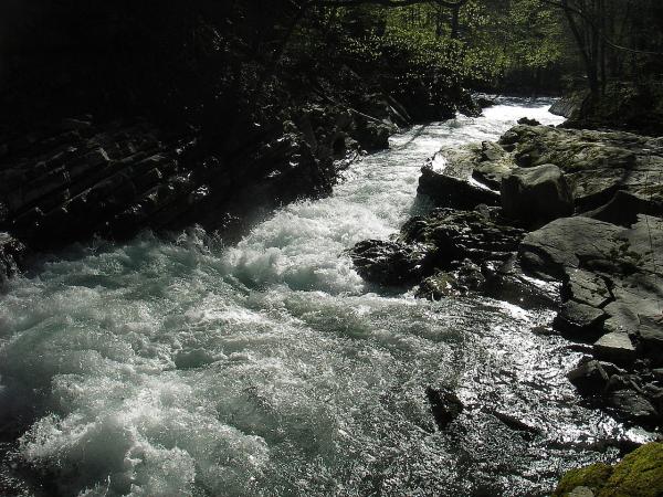Dimanche 30 avril - Grande Dranse et partie haute de la Dranse de Morzine