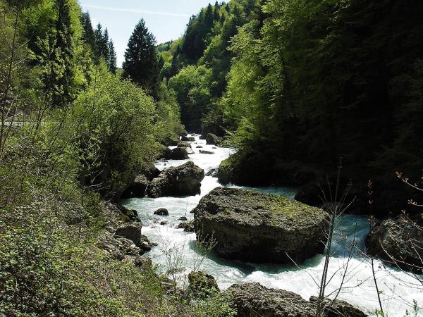 Dimanche 30 avril - Grande Dranse et partie haute de la Dranse de Morzine