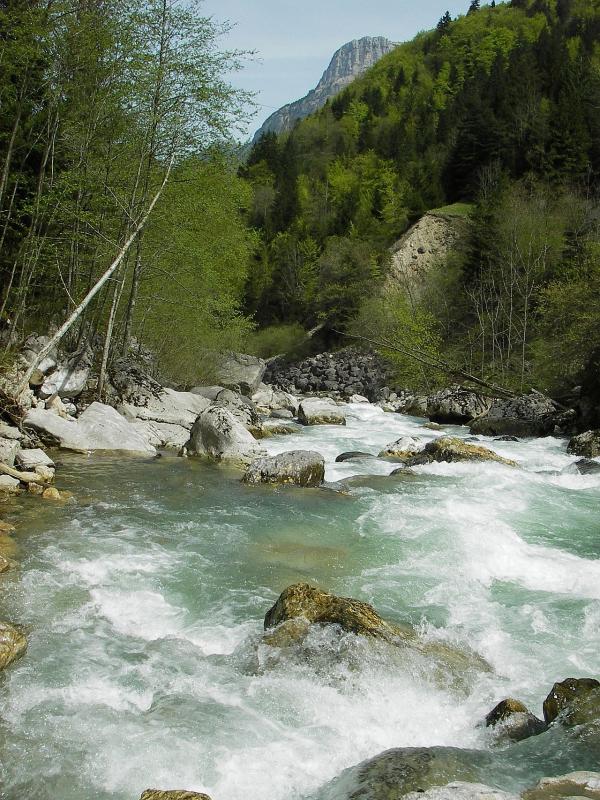 Mardi 2 mai  - Borne