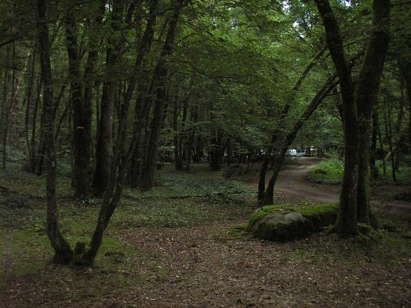 Week-end dans le Morvan : Chalaux, visite de Vézelay