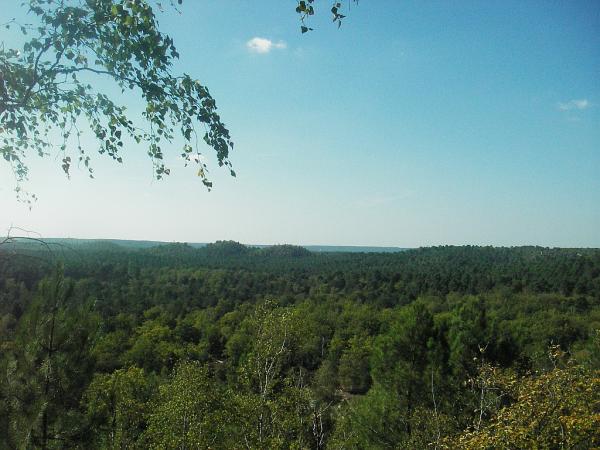 Forêt des trois pignons à Fontainebleau. Parcours des 25 bosses.