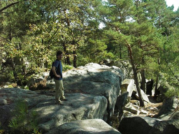 Forêt des trois pignons à Fontainebleau. Parcours des 25 bosses.