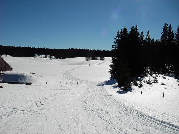 Ski de fond dans le Jura en février 2008 - Autour de la Gèque