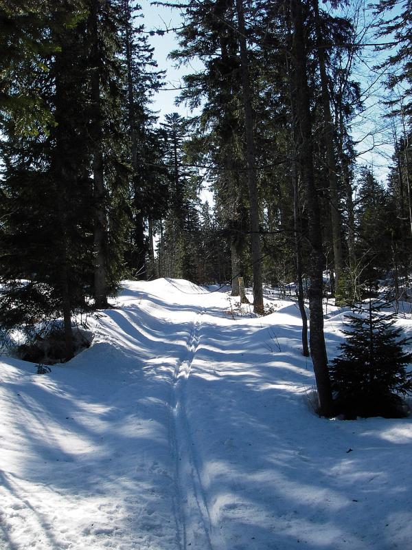 Ski de fond dans le Jura en février 2008 - Autour de la Gèque