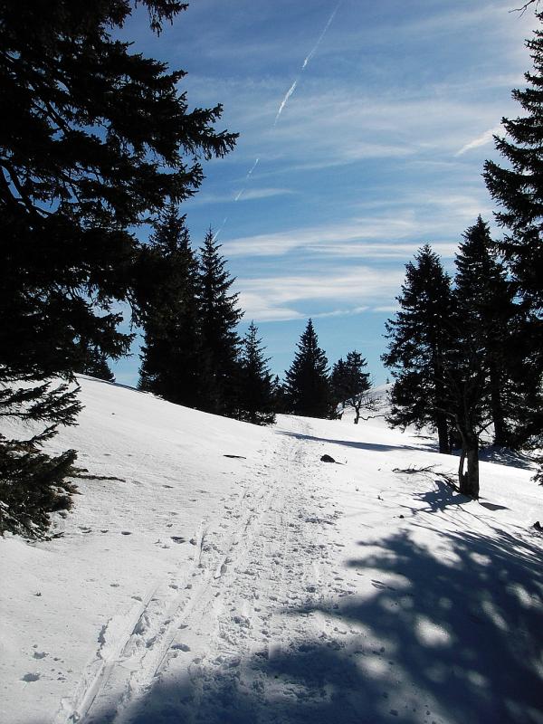 Rando du col de Mollendruz au Mont Tendre (Suisse)