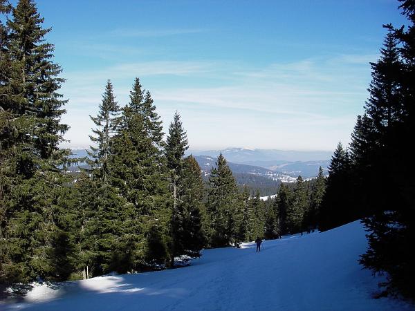Rando du col de Mollendruz au Mont Tendre (Suisse)