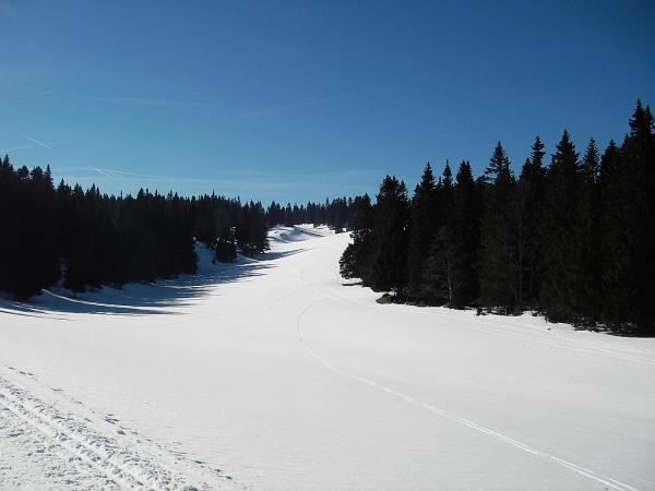 Rando du col de Mollendruz au Mont Tendre (Suisse)