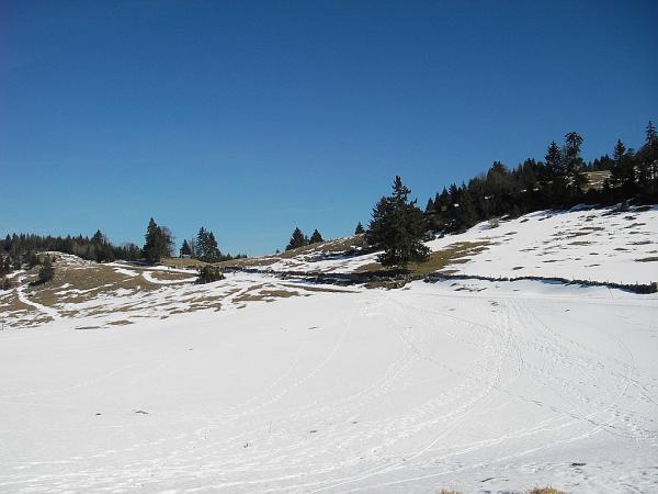 Rando du col de Mollendruz au Mont Tendre (Suisse)