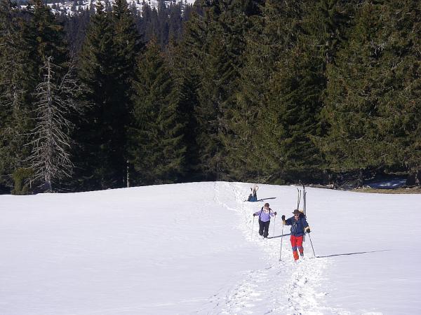 Rando sur le Mont Tendre (Suisse) - Photo Claude Deprun