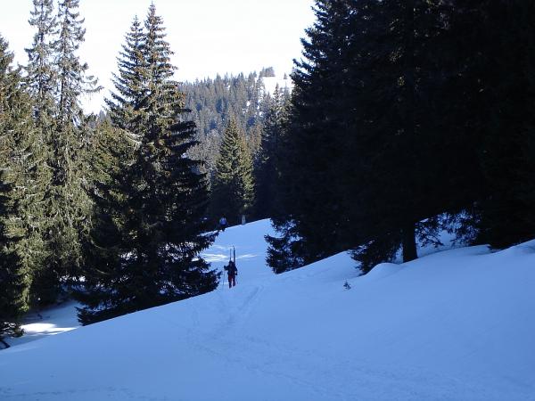Rando sur le Mont Tendre (Suisse) - Photo Muriel Renou
