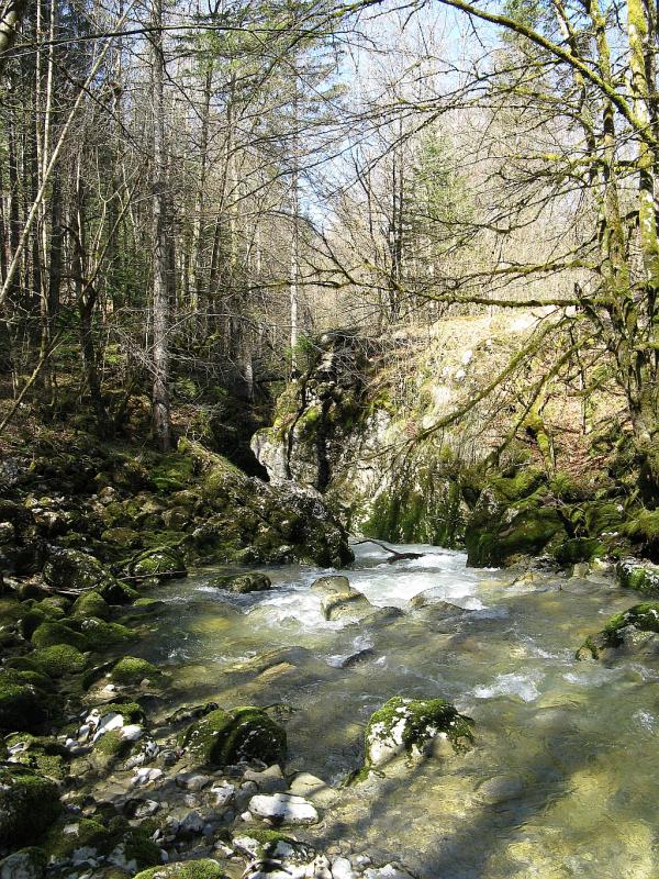 La Haute Semine, dans le Jura