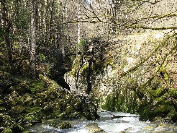 La Haute Semine, dans le Jura