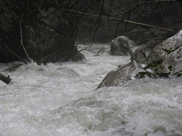 Dranse d\'Abondance - Rapide après le pont du Moulin (Fion) par gros niveau