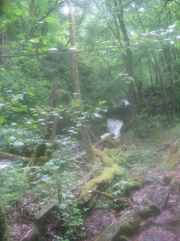 Tour du Morvan du 24 mai au 1er juin 2008 - Gorges de la Canche