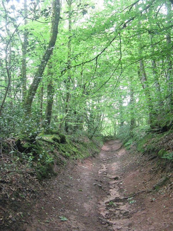 Tour du Morvan du 24 mai au 1er juin 2008