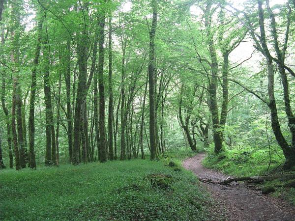 Tour du Morvan du 24 mai au 1er juin 2008
