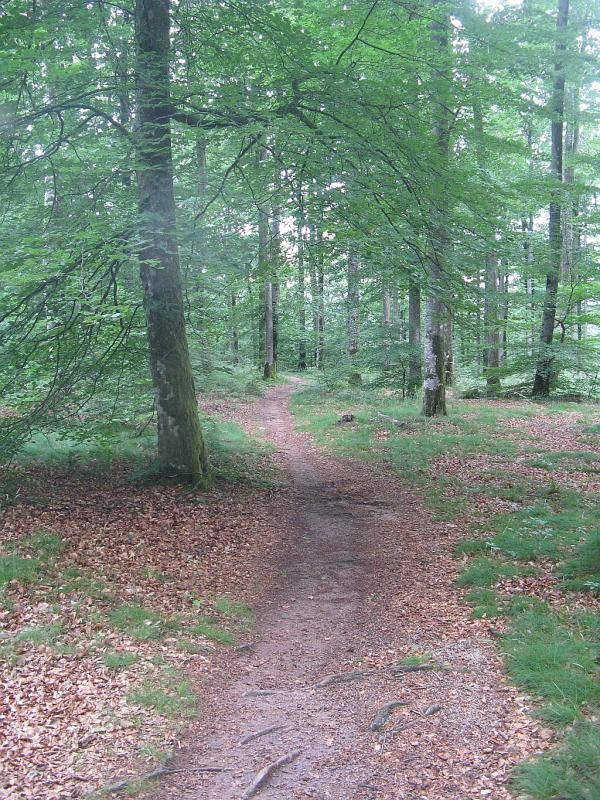 Tour du Morvan du 24 mai au 1er juin 2008
