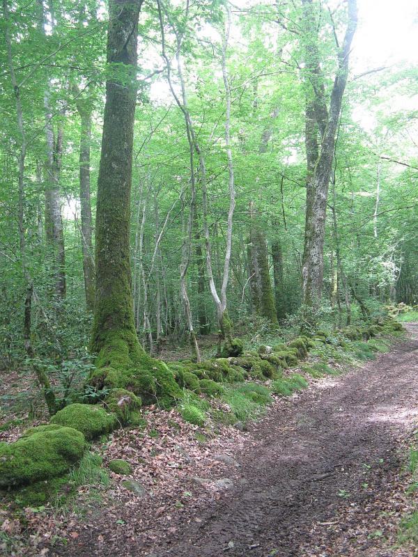 Tour du Morvan du 24 mai au 1er juin 2008