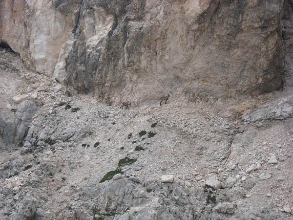 Parc du Triglav en Slovénie - Dom Valentina Straniča, descente vers Vrata, Bivak pod Luknjo
