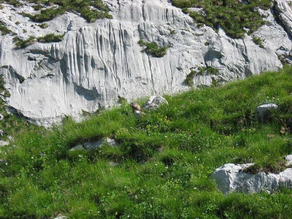 Dolomites - Zita, San Sebastiano - De l\'abri La Vareta au chalet Angelini