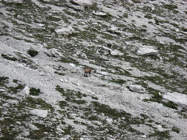Dolomites - Zita, San Sebastiano - De l\'abri La Vareta au chalet Angelini