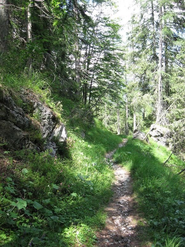 Dolomites - Zita, San Sebastiano - De l\'abri La Vareta au chalet Angelini