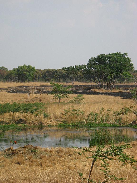 Zimbabwe - Parc animalier de Mukuvisi Woodlands