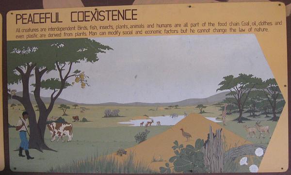 Zimbabwe - Parc animalier de Mukuvisi Woodlands