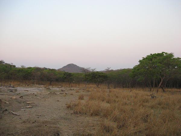 Zimbabwe - Parc animalier de Mwanga Lodge