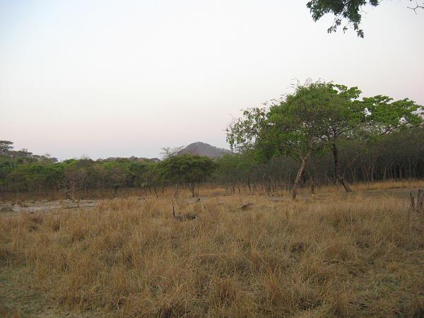 Zimbabwe - Parc animalier de Mwanga Lodge