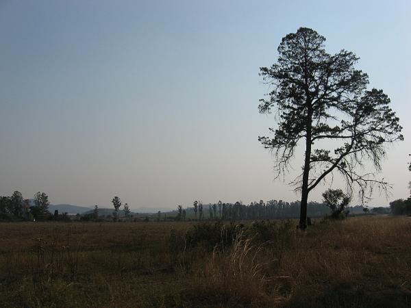 Zimbabwe - Parc animalier de Mwanga Lodge