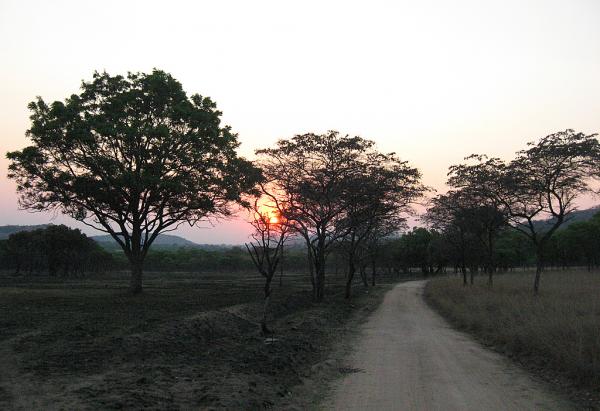 Zimbabwe - Parc animalier de Mwanga Lodge