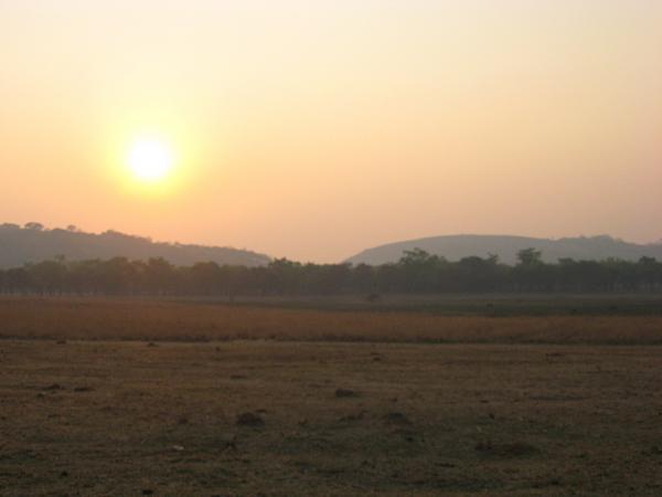 Zimbabwe - Parc animalier de Mwanga Lodge