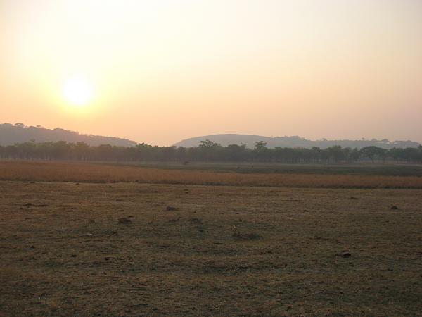 Zimbabwe - Parc animalier de Mwanga Lodge
