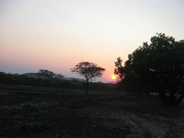 Zimbabwe - Parc animalier de Mwanga Lodge