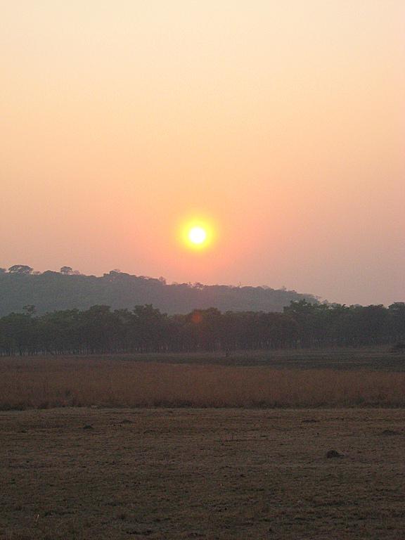 Zimbabwe - Parc animalier de Mwanga Lodge