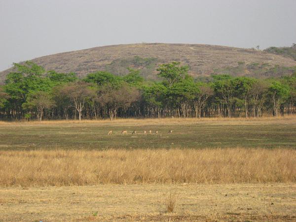 Zimbabwe - Parc animalier de Mwanga Lodge