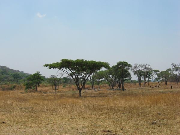 Zimbabwe - Parc animalier Lion and Cheetah Park