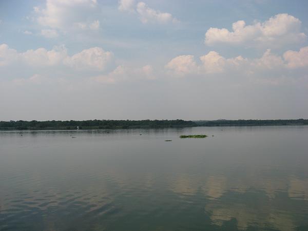 Zimbabwe - Parc animalier du lac Chivero