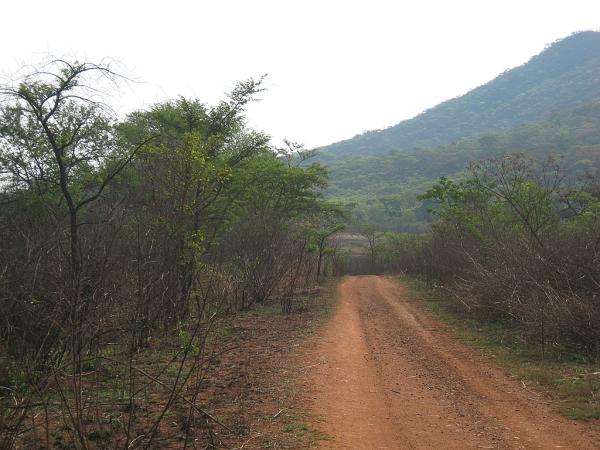 Zimbabwe - Lac Mutirikwi, environs et Lodge at the Ancient City