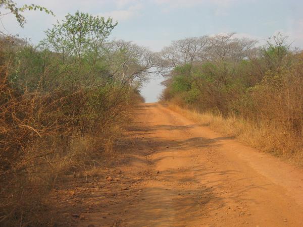 Zimbabwe - Lac Mutirikwi, environs et Lodge at the Ancient City