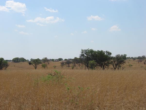 Zimbabwe - Lac Mutirikwi, environs et Lodge at the Ancient City