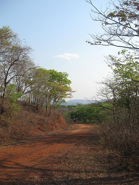 Zimbabwe - Lac Mutirikwi, environs et Lodge at the Ancient City