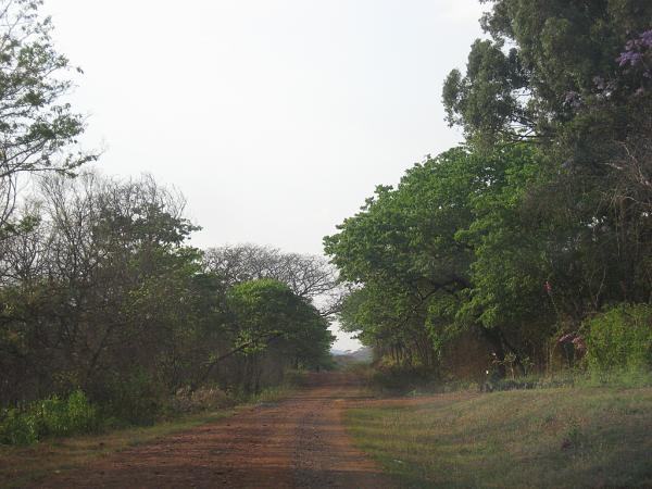 Zimbabwe - Lac Mutirikwi, environs et Lodge at the Ancient City