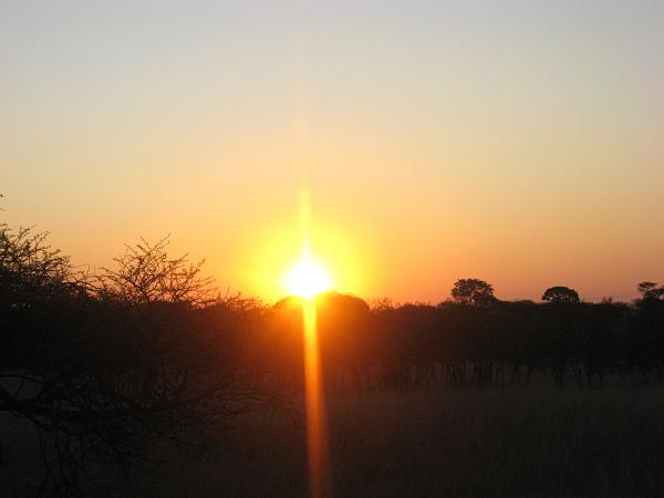 Zimbabwe - Parc privé d\'Antilope Park