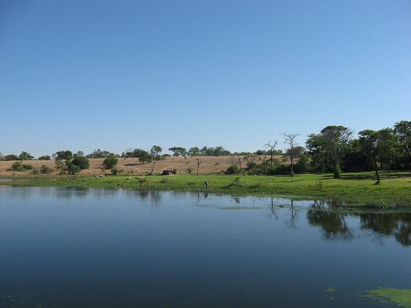 Zimbabwe - Parc privé d\'Antilope Park